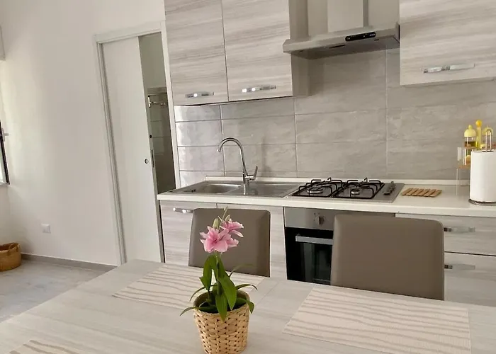 Domus Sofia Apartament